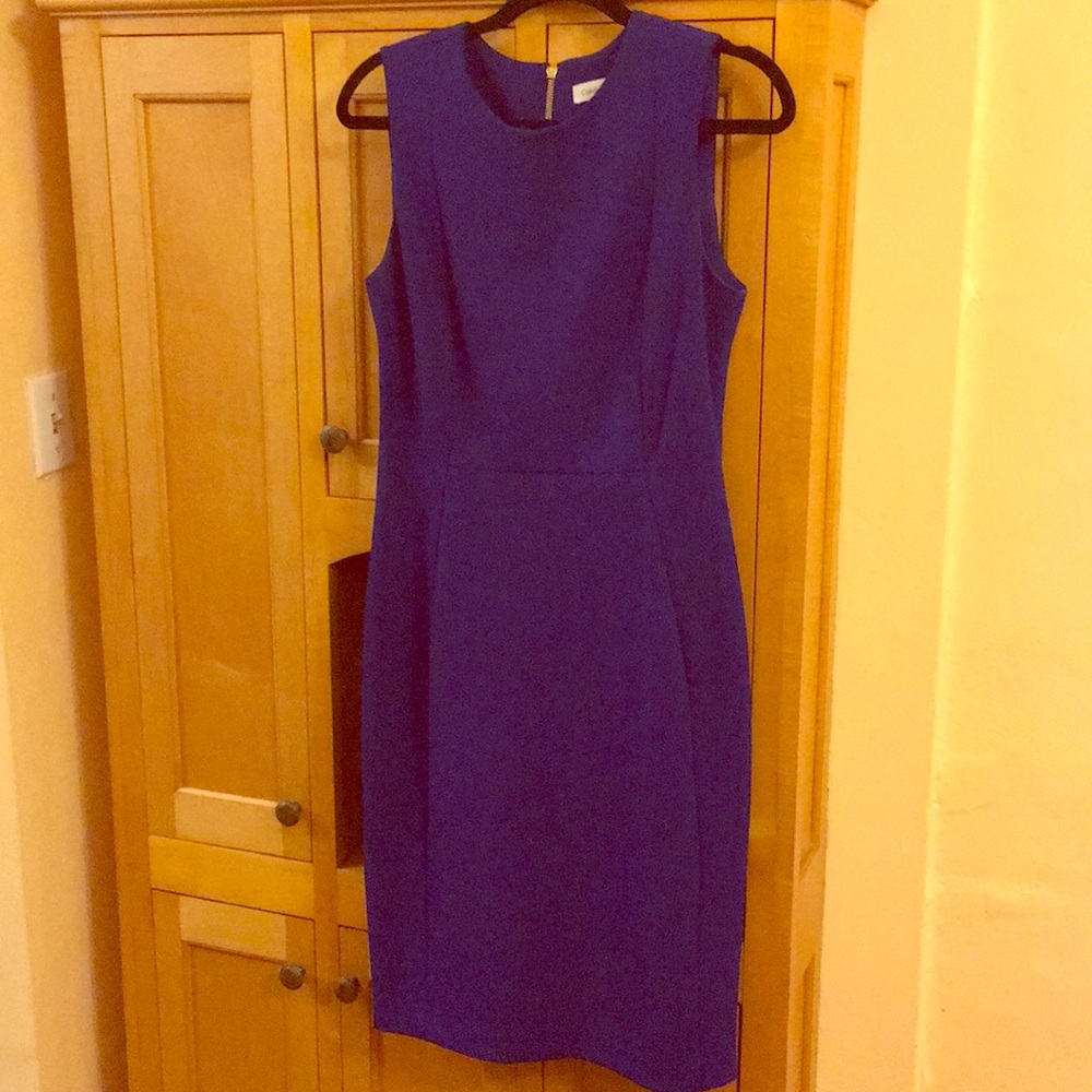 Calvin Klein Deep Blue Professional Dress